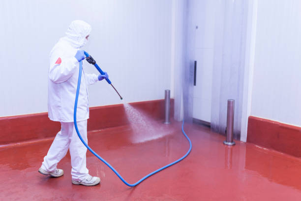 Best House Exterior Washing  in Los Altos, CA